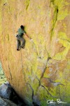 westwind 100x150 Incredible...climbing