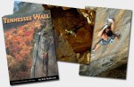 T-Wall Guidebook