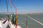 surfing sailing egmont 02 150x100 Adventure Surf in the Gomex | Round 2sailing 2