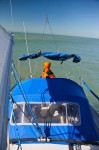 surfing sailing egmont 06 99x150 Adventure Surf in the Gomex | Round 2sailing 2